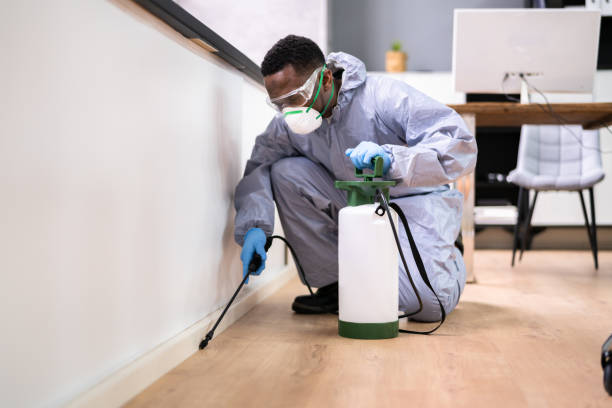 Real Estate Pest Inspections in Blue Ridge, AL